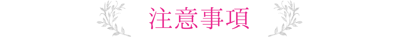 注意事項